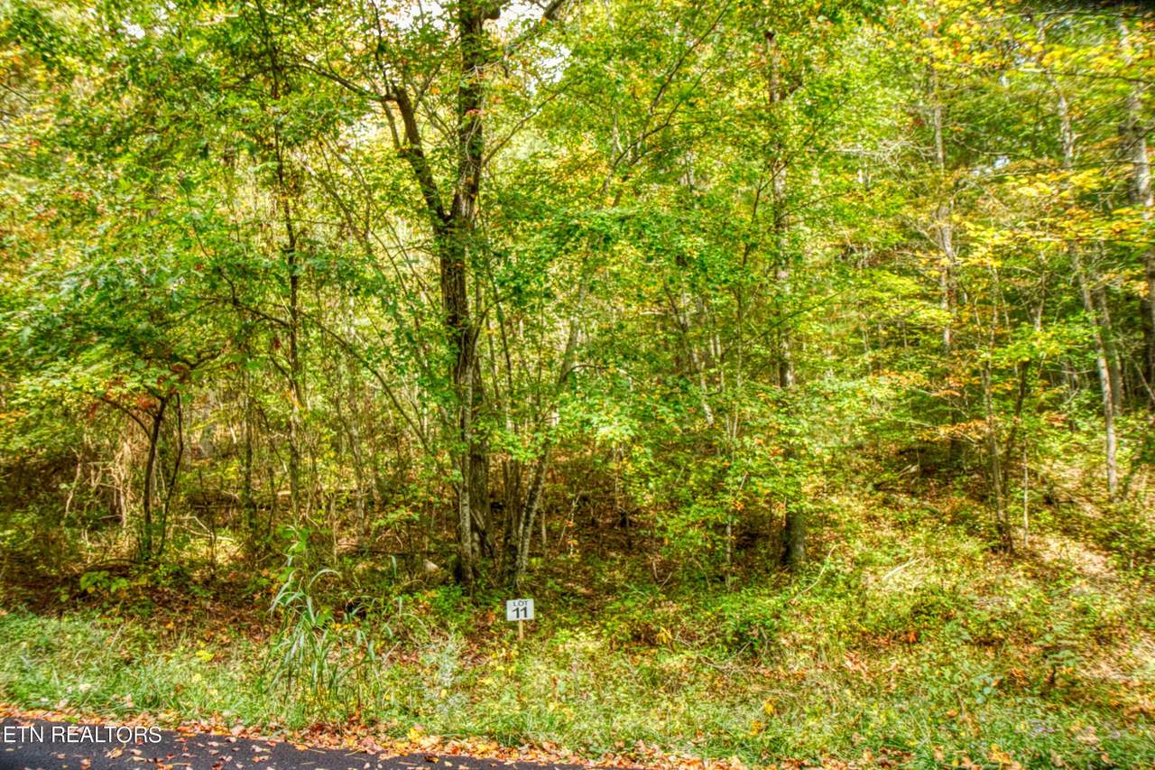  Lot 11 Old Mount Helen Rd - Photo 1