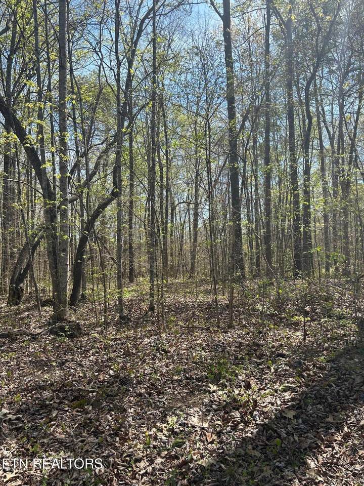 lot 9 Jones Ridge Rd - Photo 1