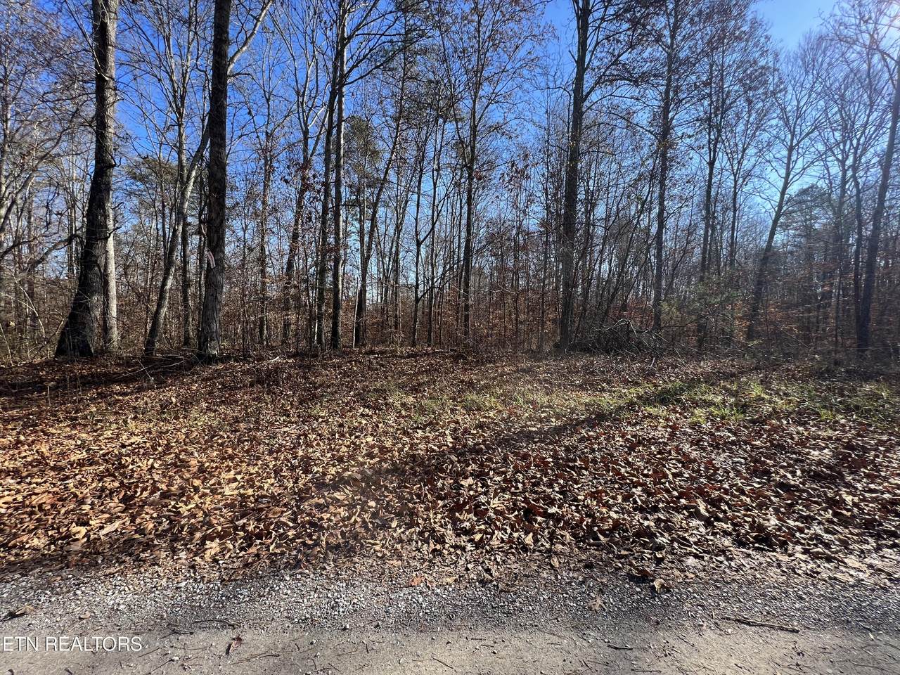 lots 1&2 Jones Ridge Rd - Photo 1
