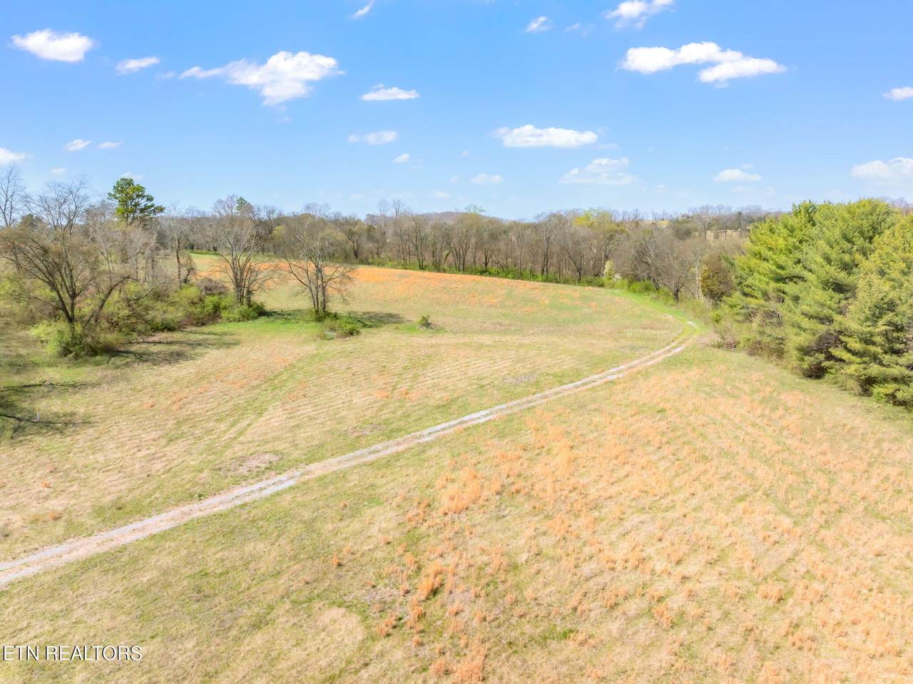 Salem Loop Rd - Photo 1