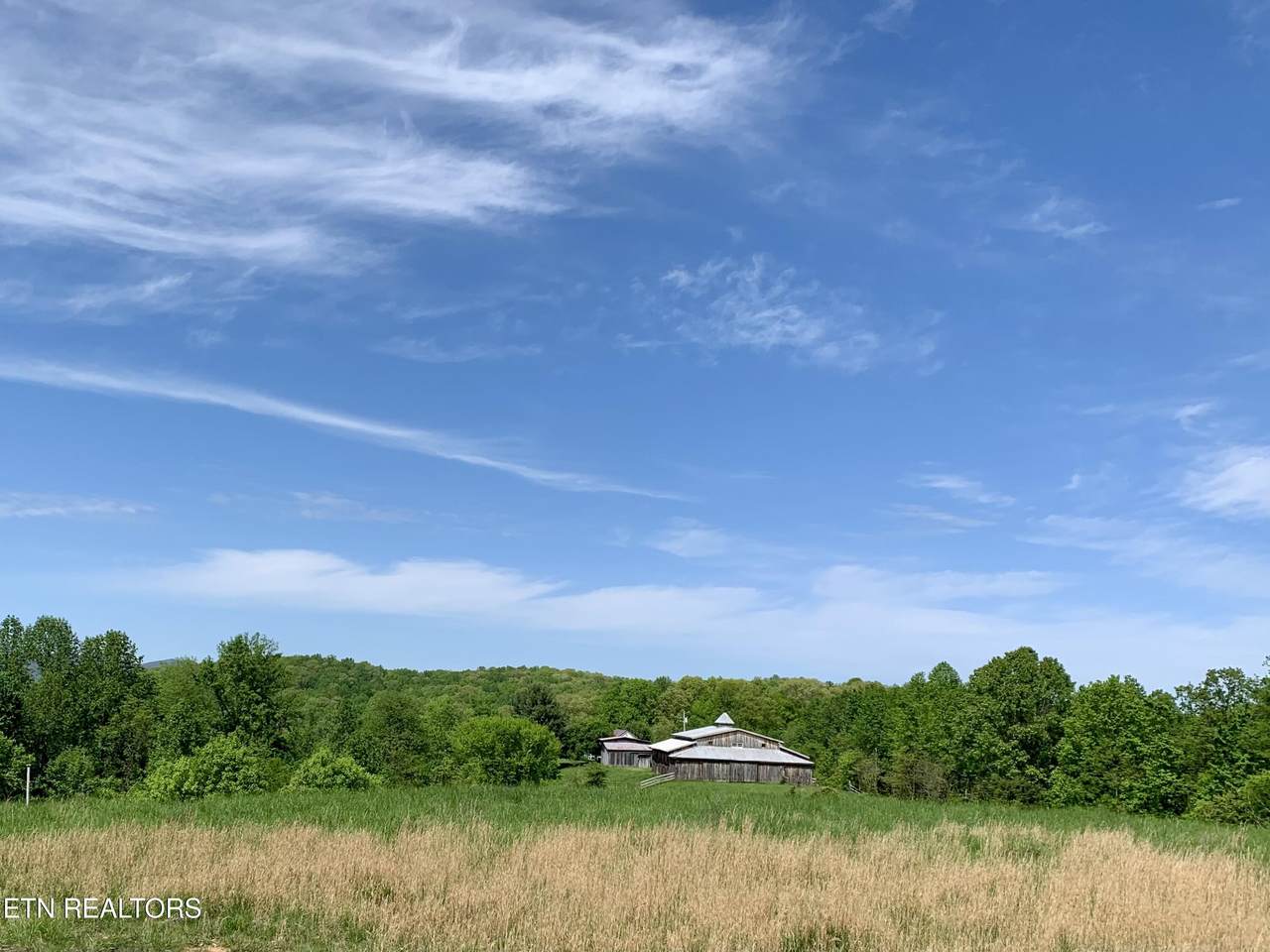 1088 Jones Ridge Rd - Photo 1