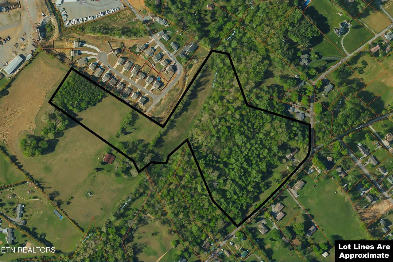  Eleanor Davis Drive - Photo 1