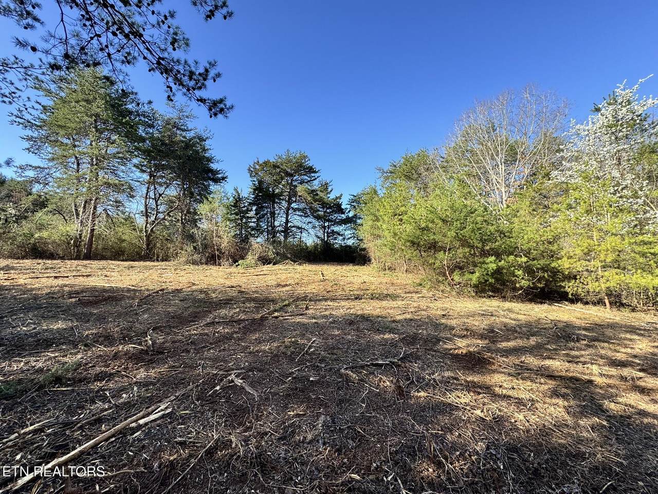 535 Peterson Lane - Photo 1