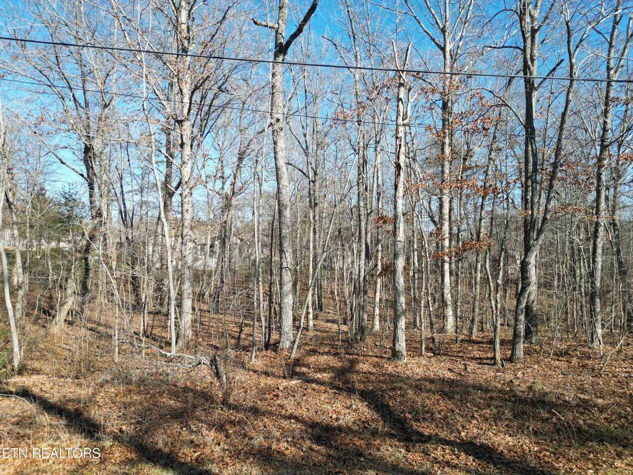 105 Chica Court - Photo 1