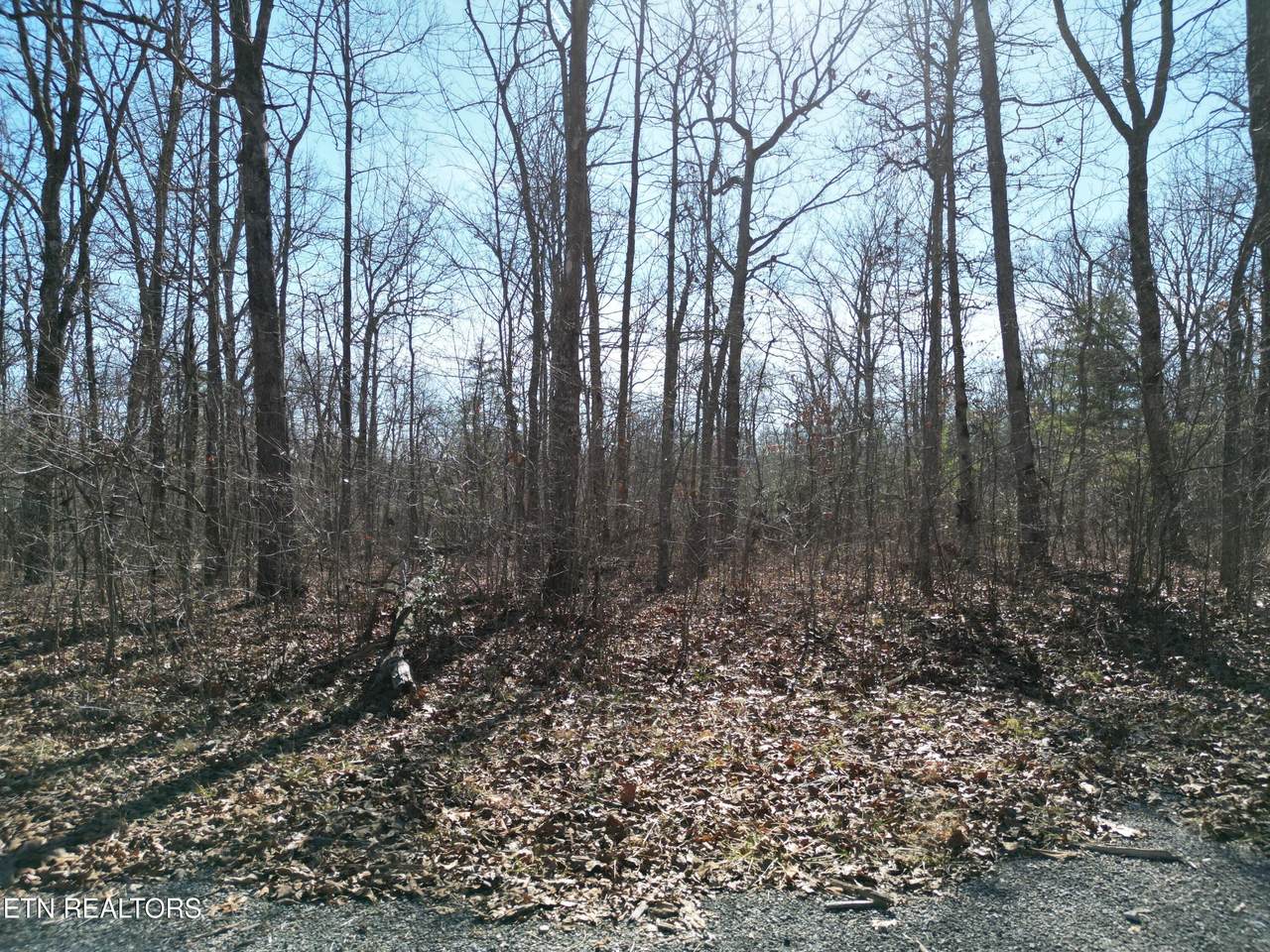 1051 Yucatan Lane - Photo 1