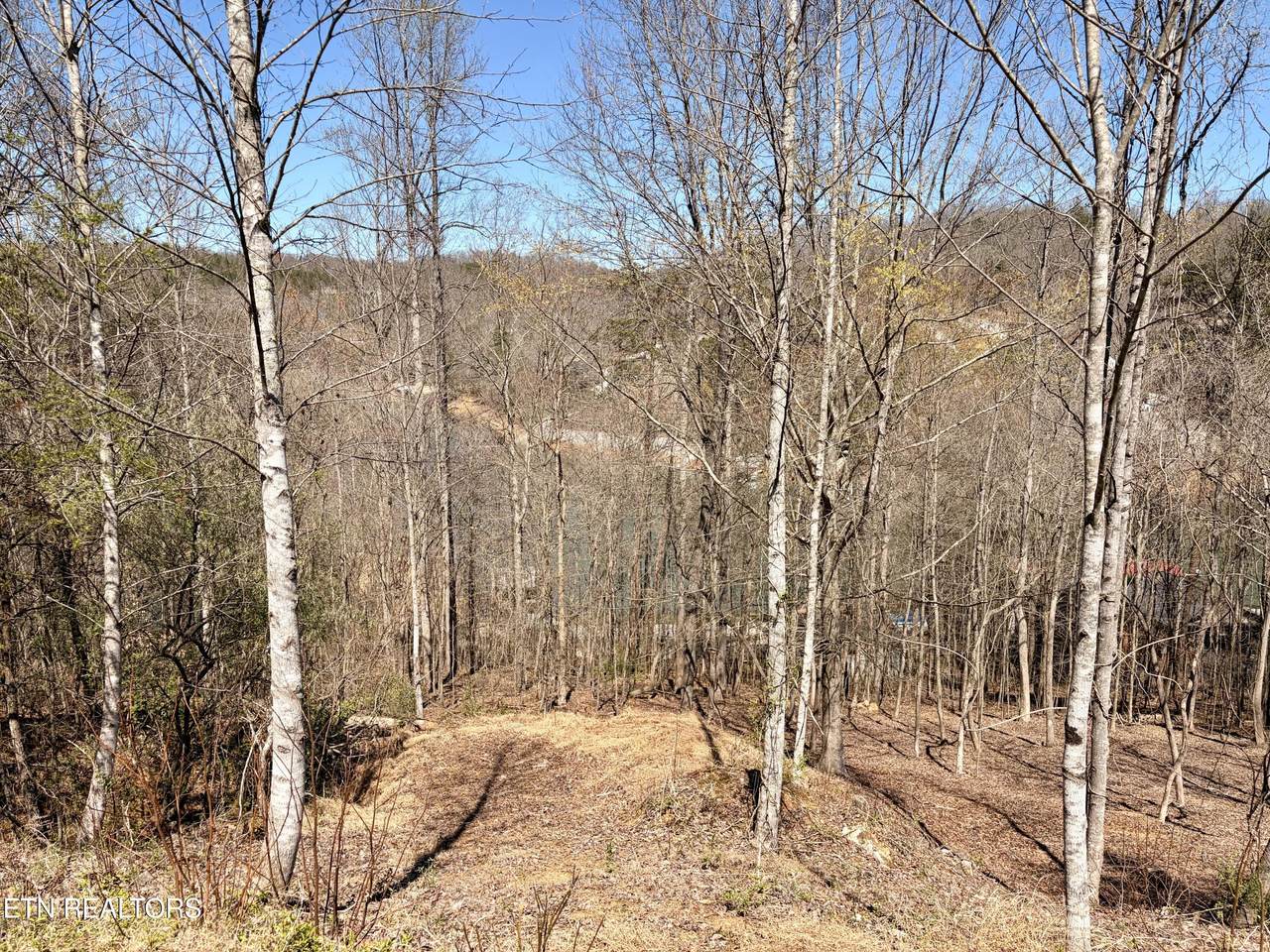 113 Laurel Way - Photo 1