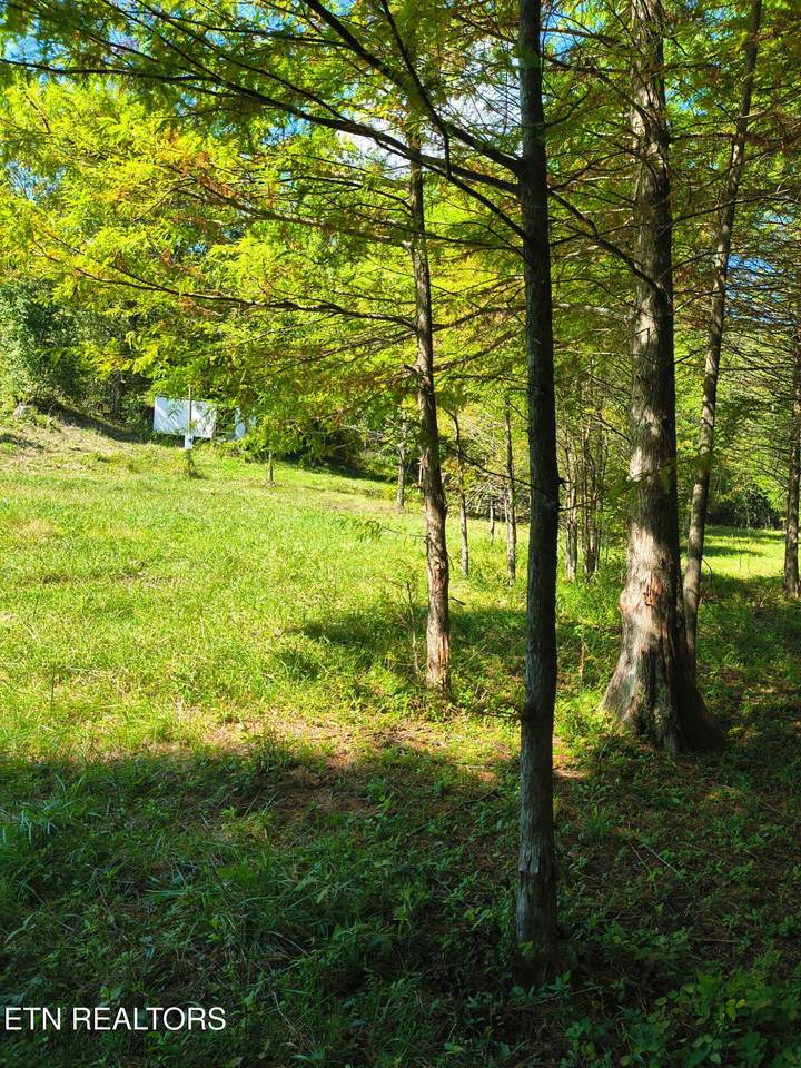 311 Laurel Mountain Loop - Photo 1