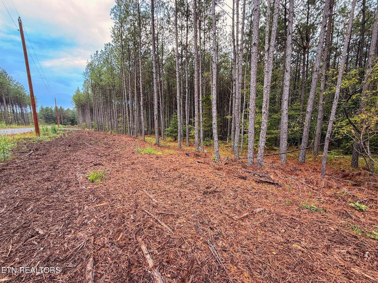  Lot 11 Airport Rd - Photo 1