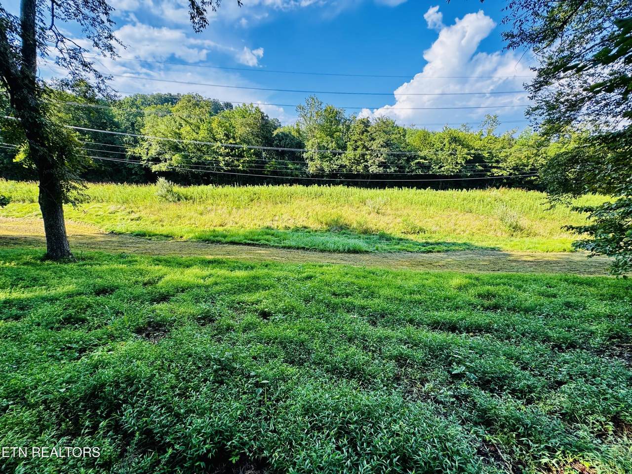 Lot 207 Clyde Ed Rd - Photo 1