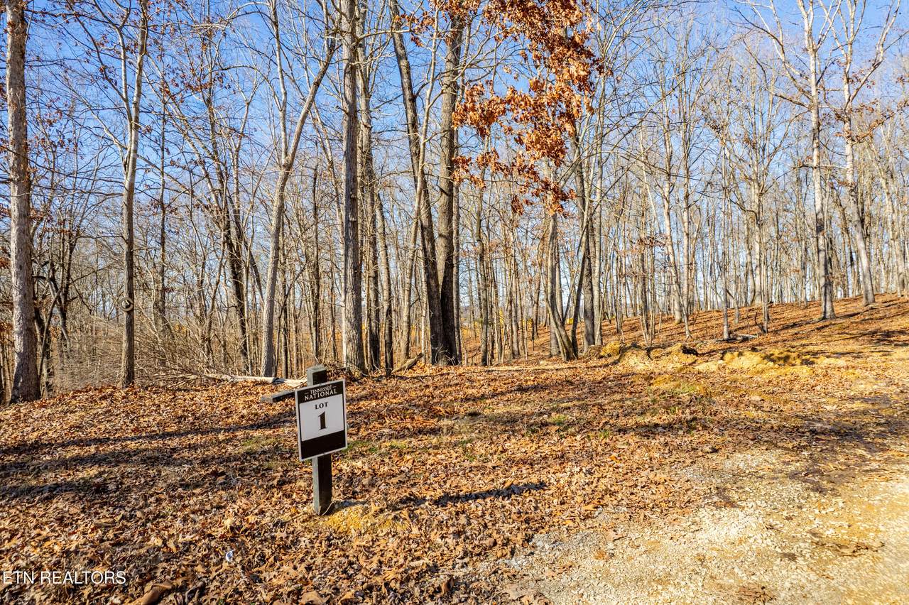 2501 Old Dogwood Tr - Photo 1