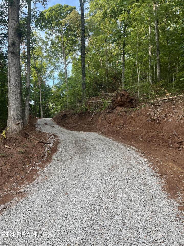 3011 Ballplay Rd - Photo 1