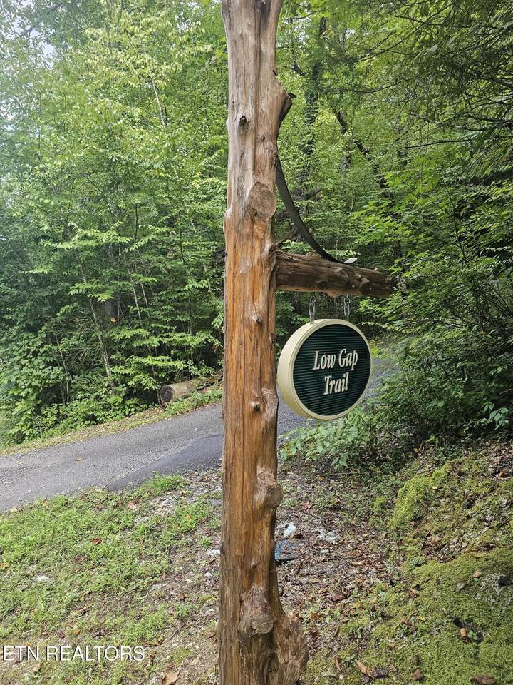 231 Low Gap Tr - Photo 1