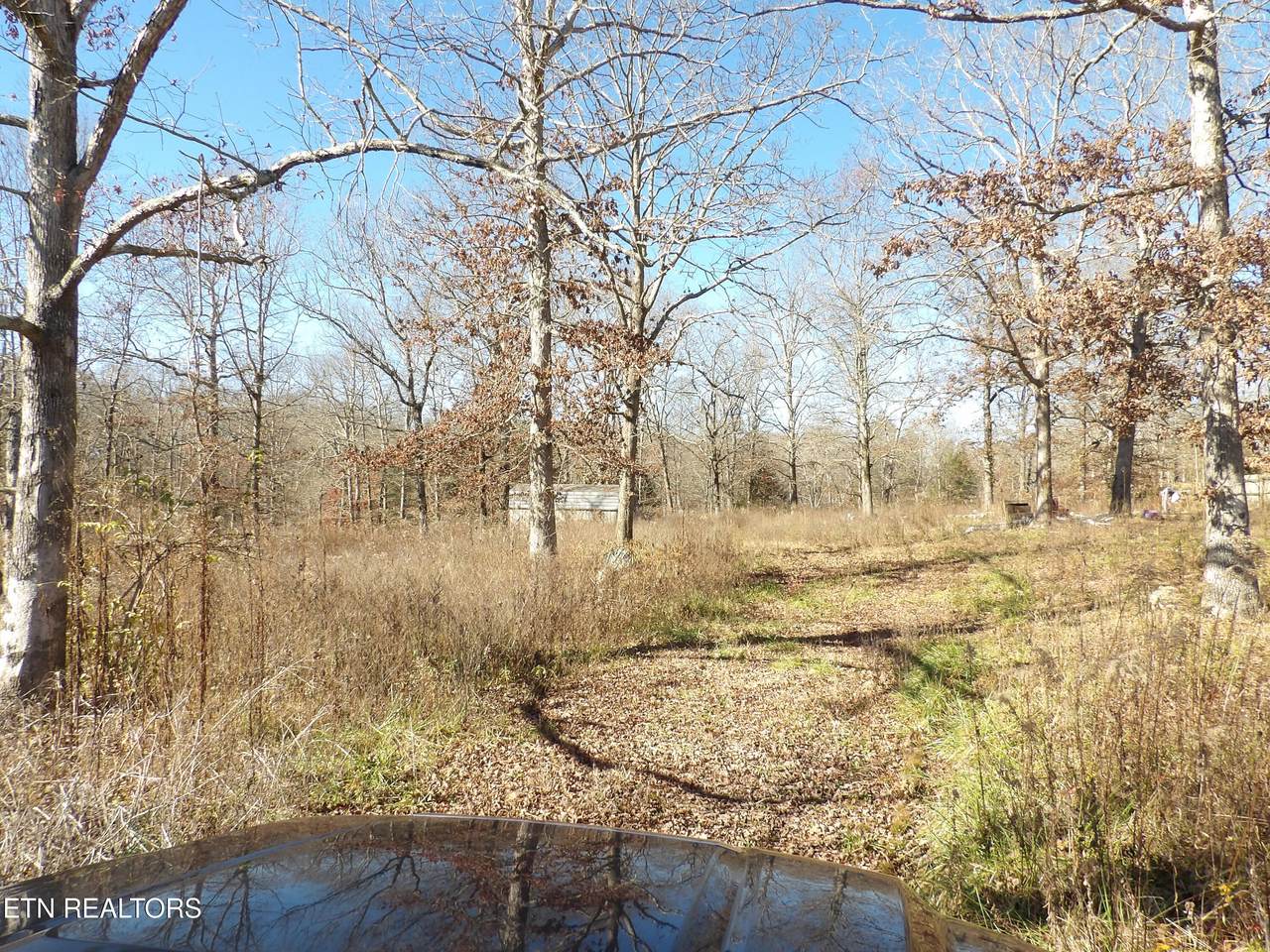 1755 Tabor Loop - Photo 1