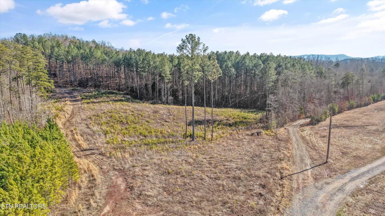 235 Bill Moser Rd - Photo 1