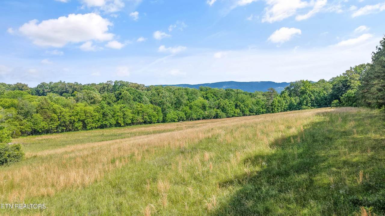  Baumgardner Rd - Photo 1