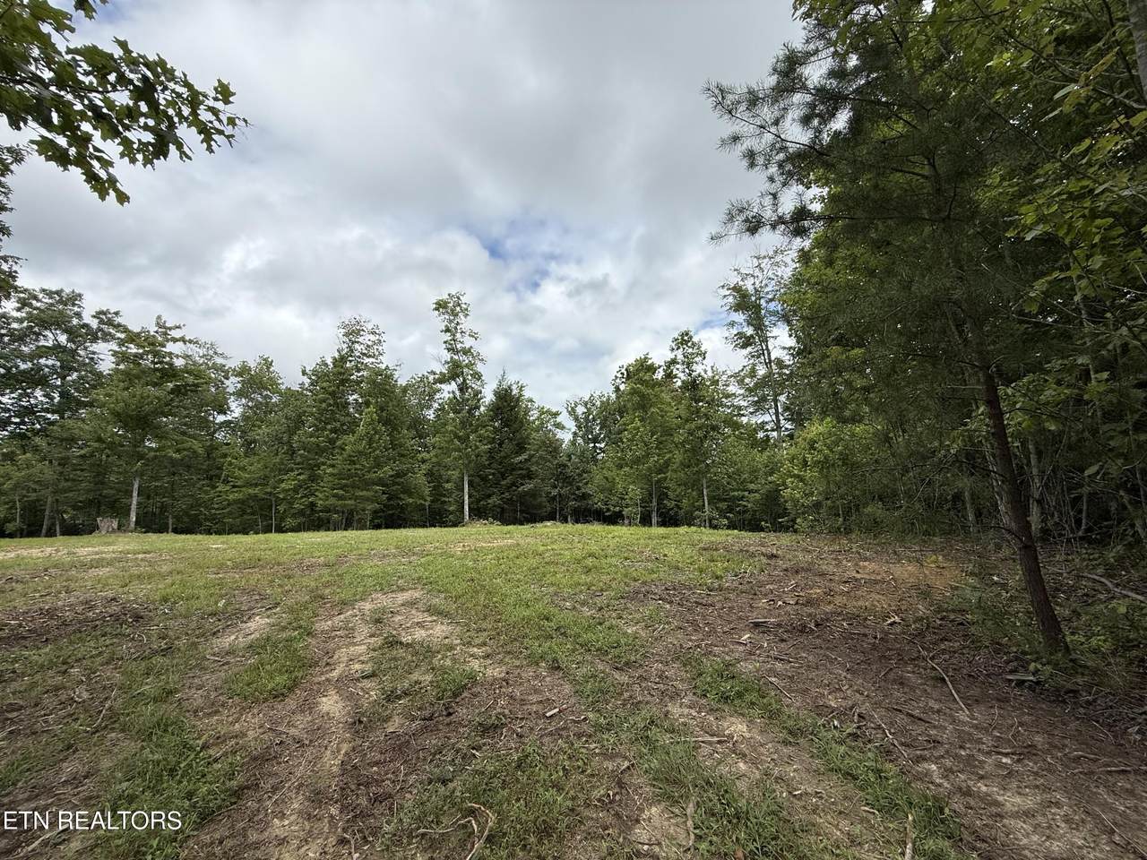  Clifty Creek Rd - Photo 1