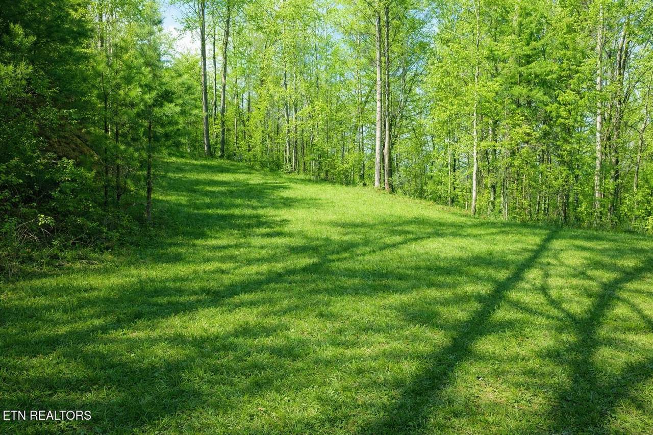 Lot 41 Black Maple Way - Photo 1