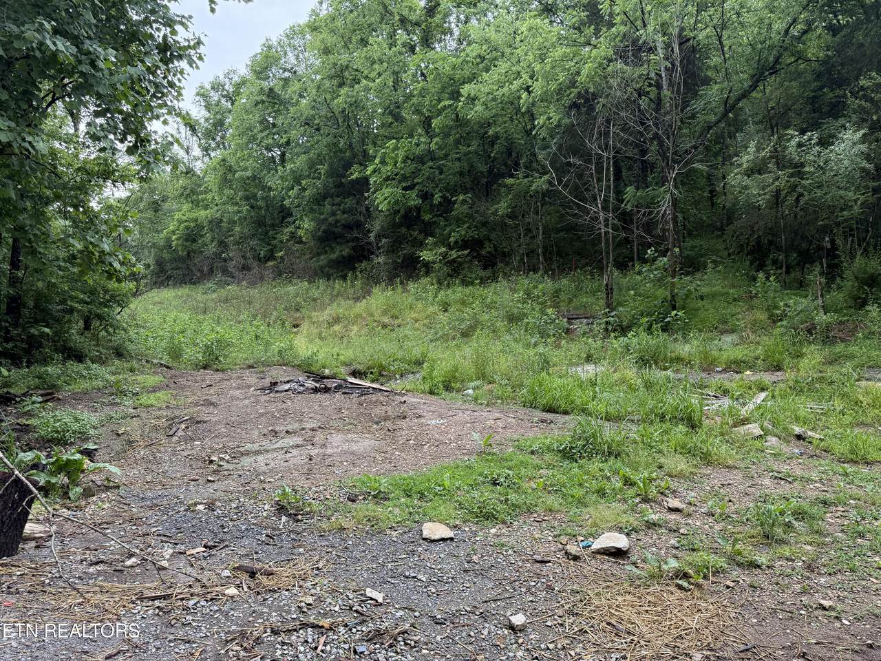 940 Riley Creek Rd - Photo 1