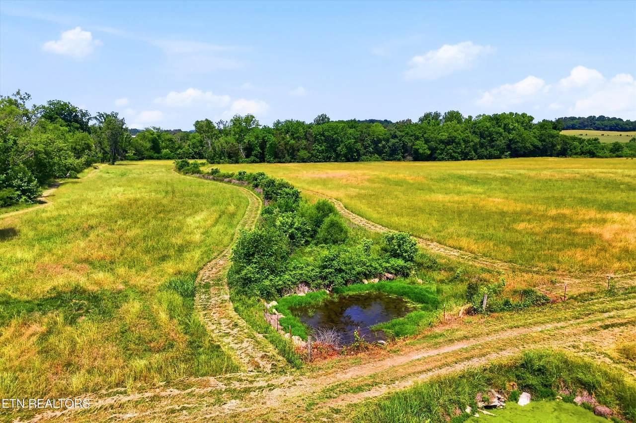  Hiwassee Rd - Photo 1