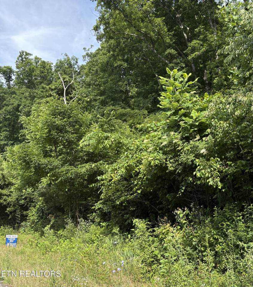 5787 Highway 297 - Photo 1