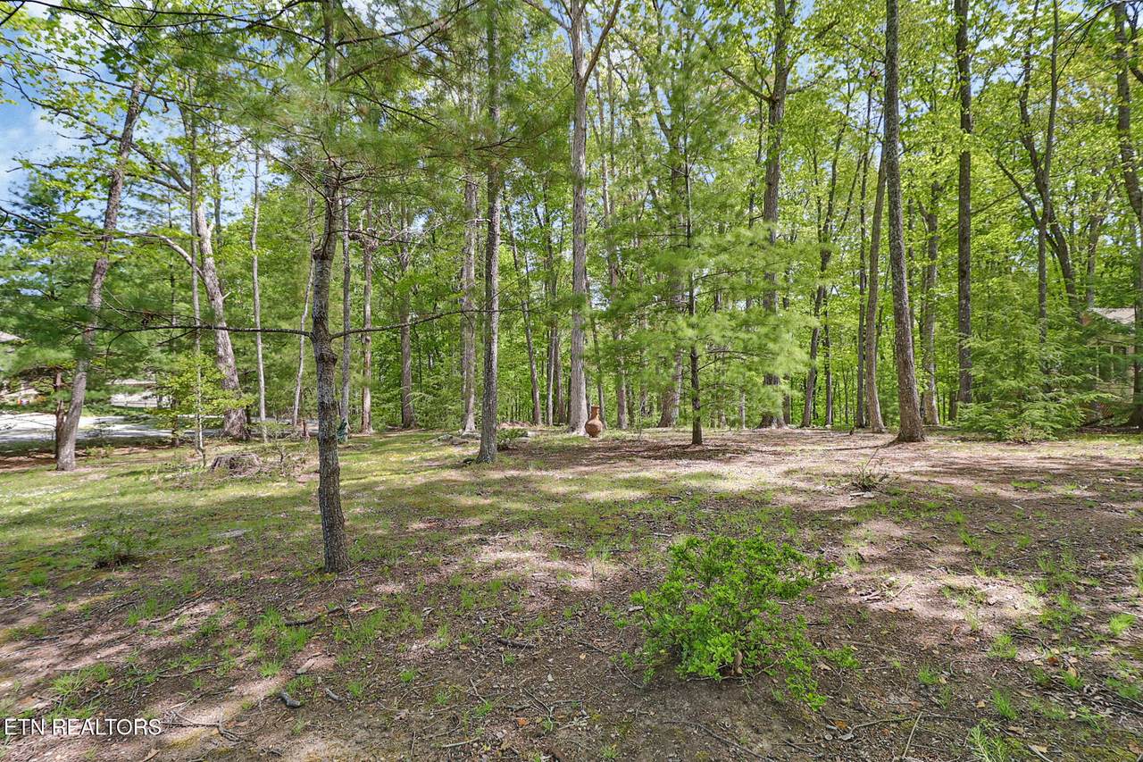 14 Ridge Crest Circle - Photo 1