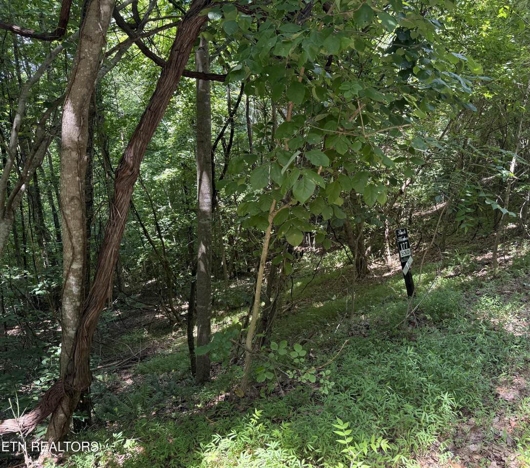 https://bt-photos.global.ssl.fastly.net/kaar/1280_boomver_2_1347249-2.jpg