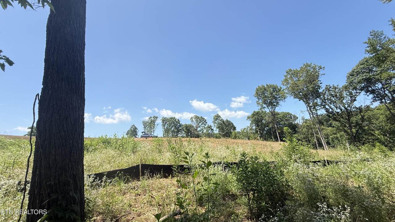 https://bt-photos.global.ssl.fastly.net/kaar/1280_boomver_2_1348818-2.jpg
