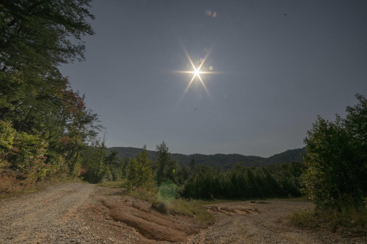 White Oak Circle - Photo 1