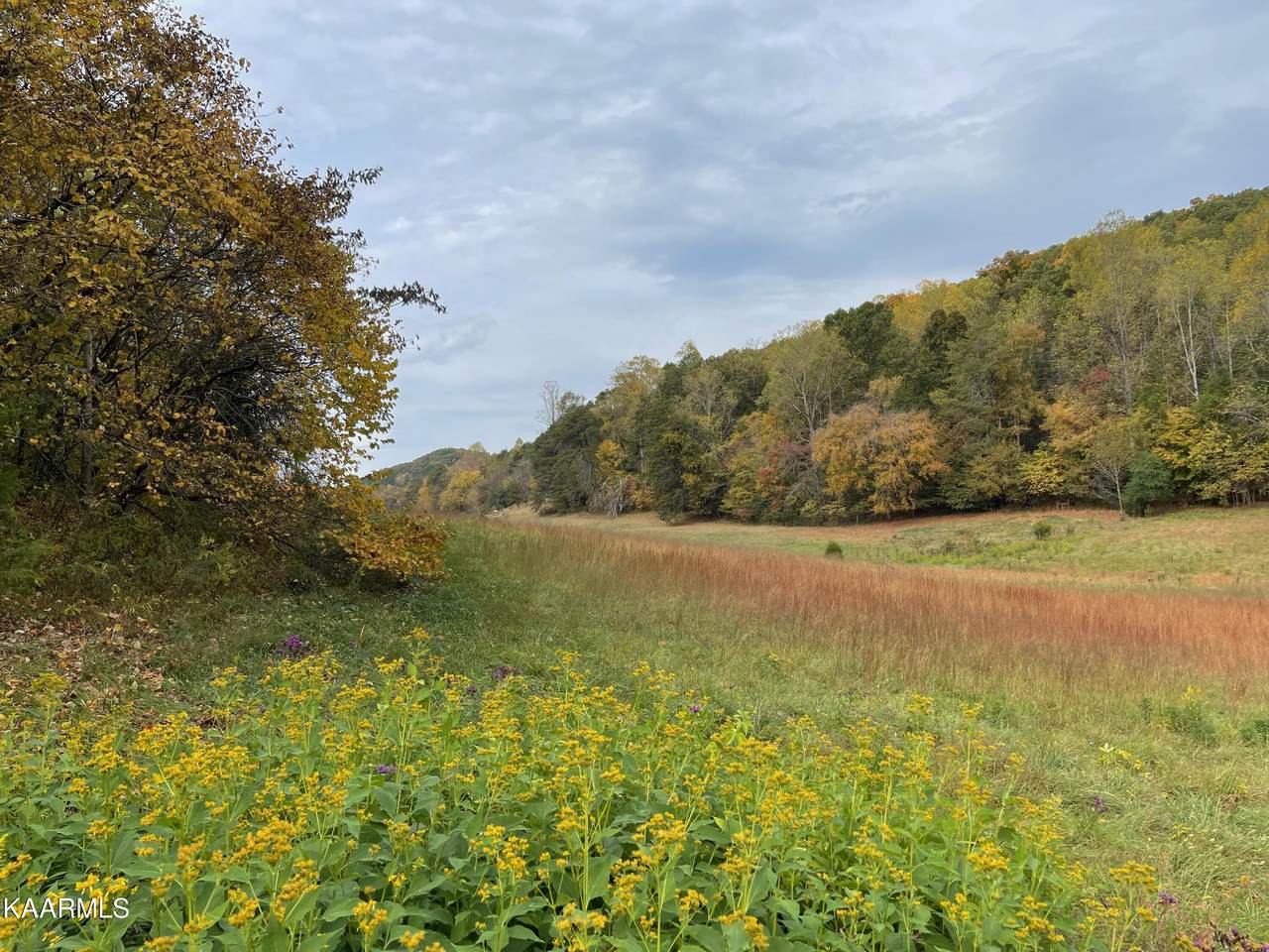 0 Rhea Rd - Photo 1