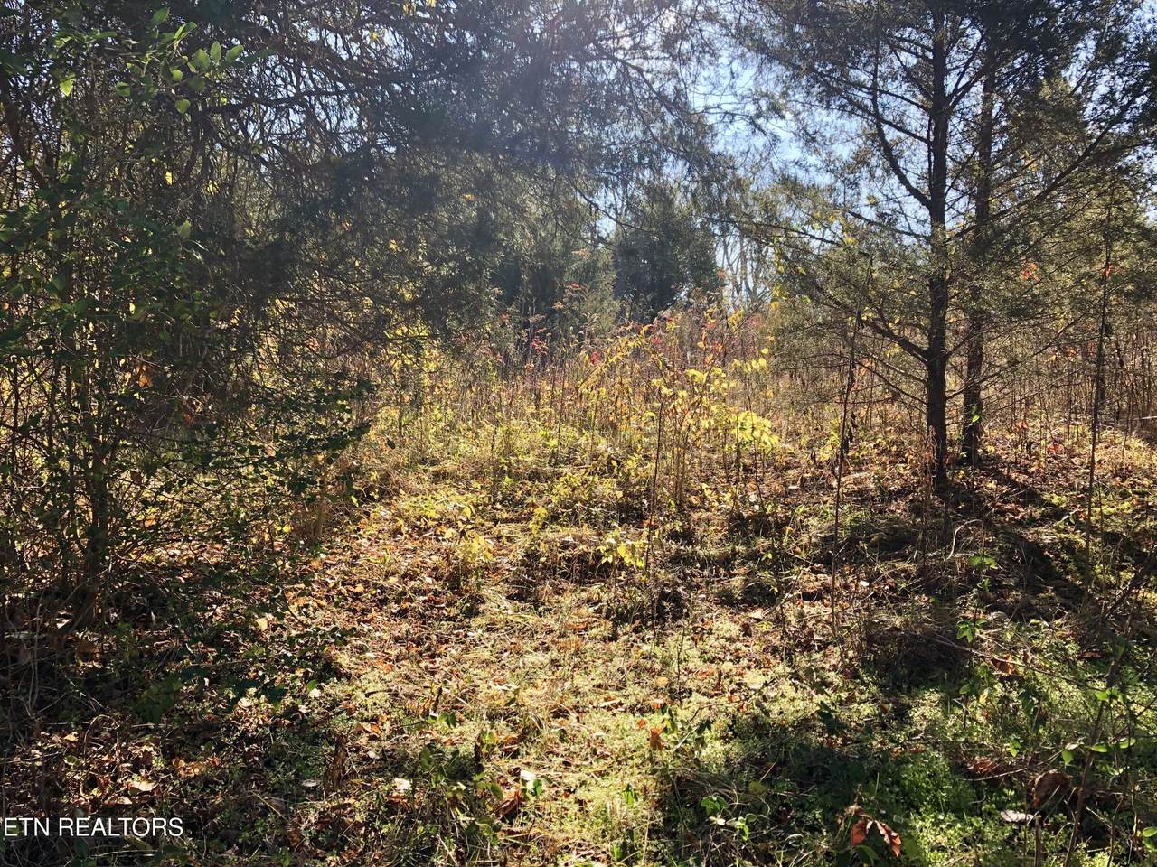 0 Thorn Grove Pike - Photo 1