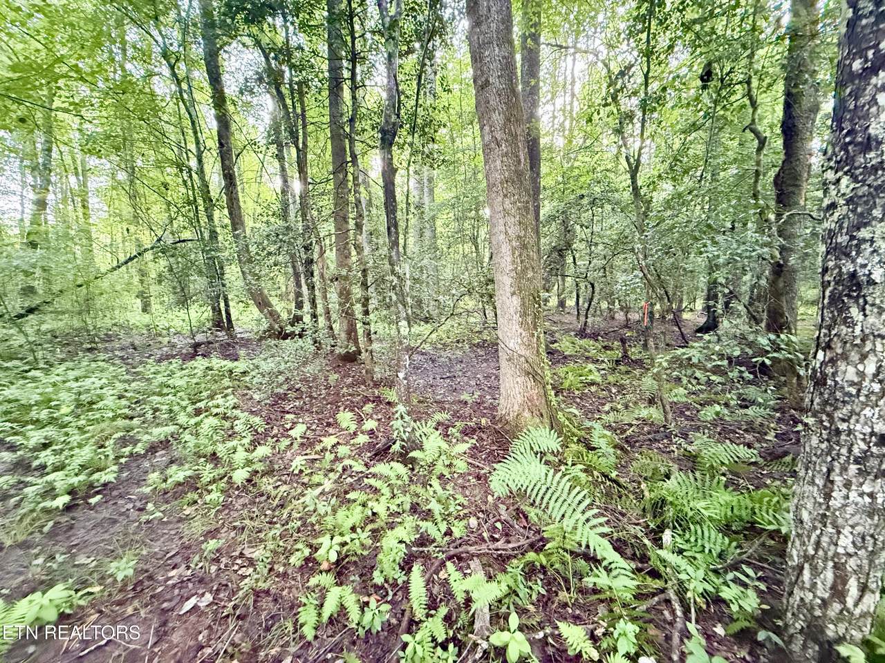 https://bt-photos.global.ssl.fastly.net/kaar/1280_boomver_3_1310471-2.jpg