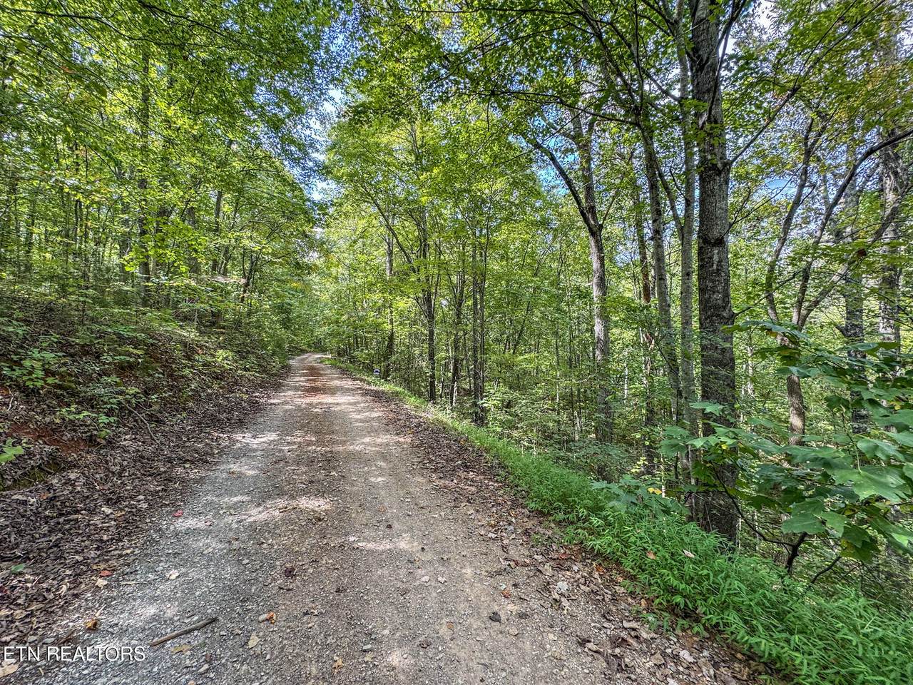 552 New Providence Rd - Photo 1