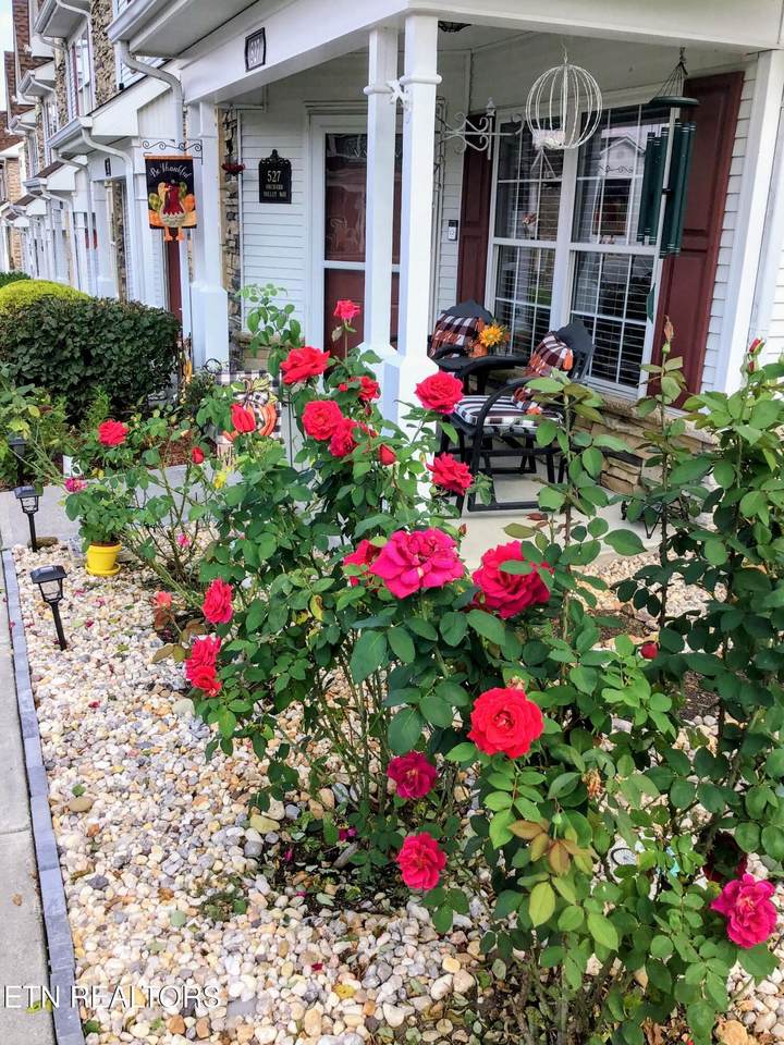 527 Orchard Valley Way - Photo 1