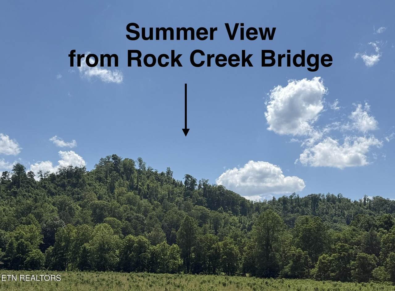0 Hickory Creek Rd - Photo 1