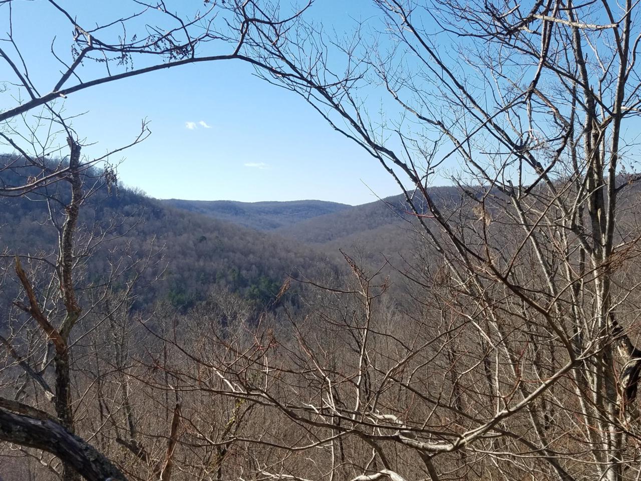 177.8 Acrs Lost Cane Creek Rd - Photo 1