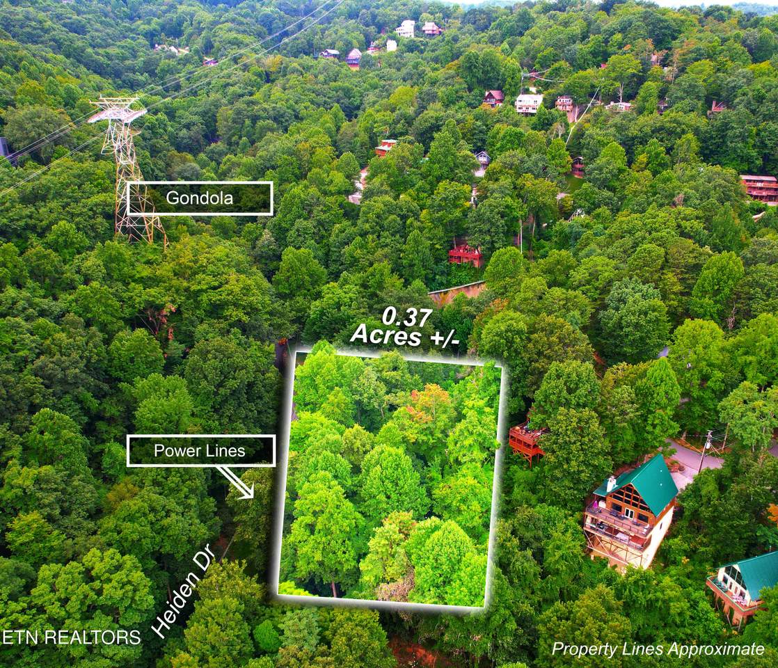  Heiden Drive - Photo 1