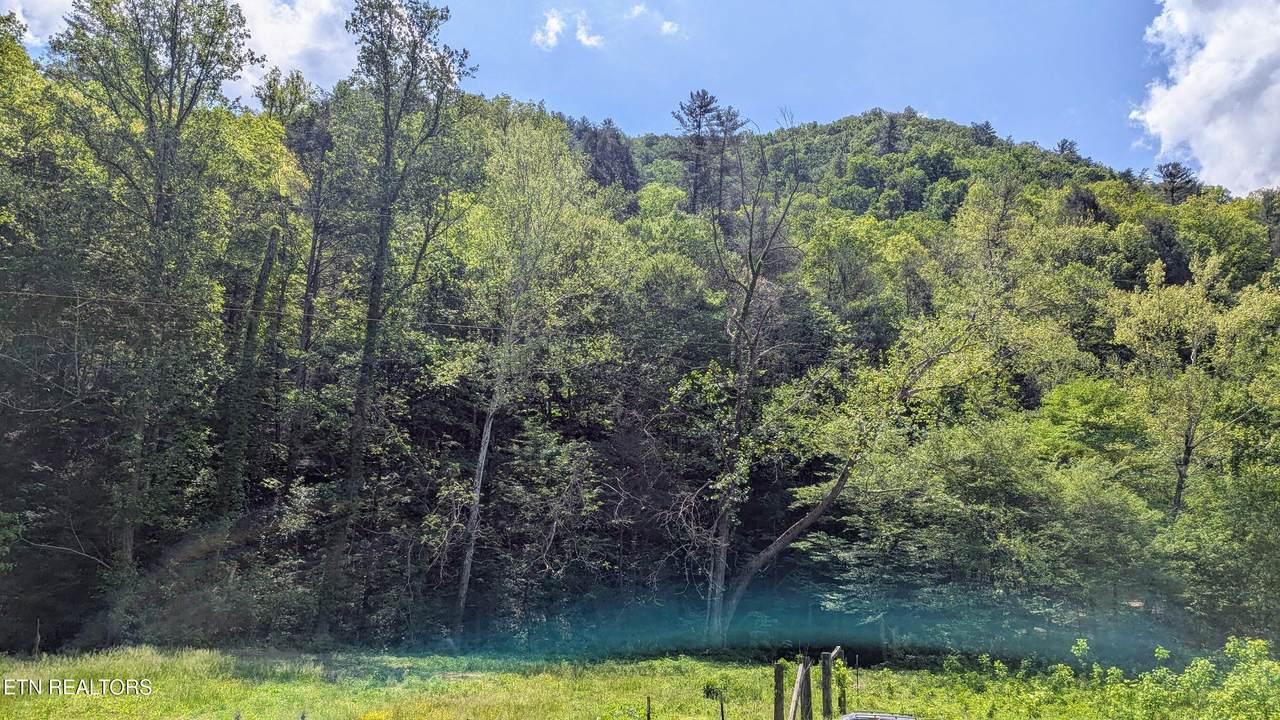 Carrs Creek (38 Acres) Rd - Photo 1