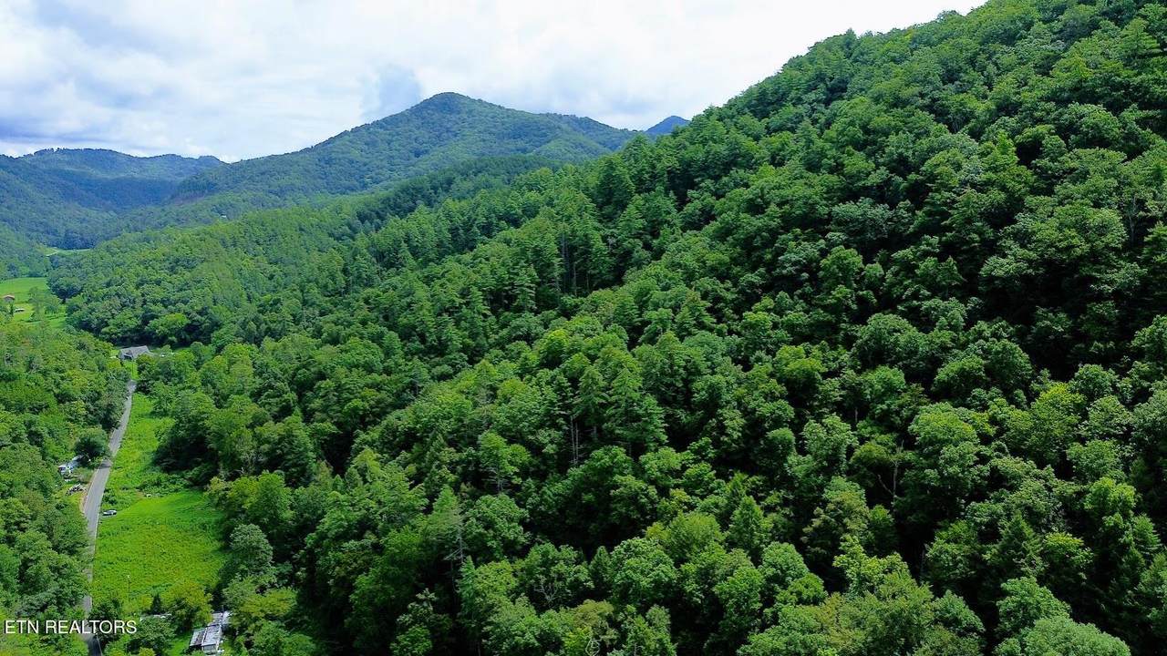  Carrs Creek   14 Acres Rd - Photo 1