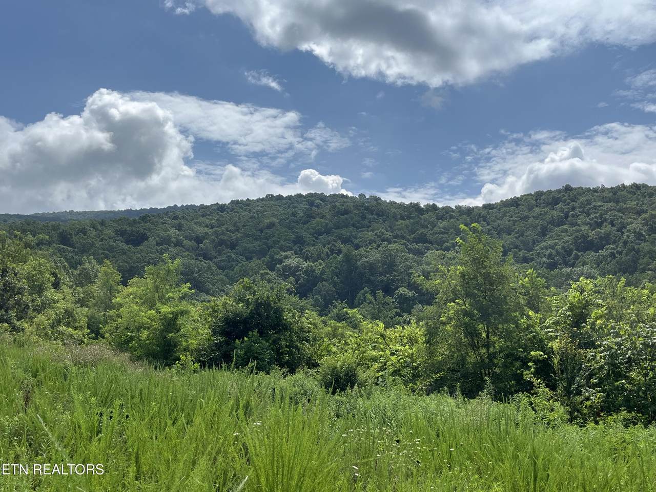 442 Billingsley Rd Rd - Photo 1