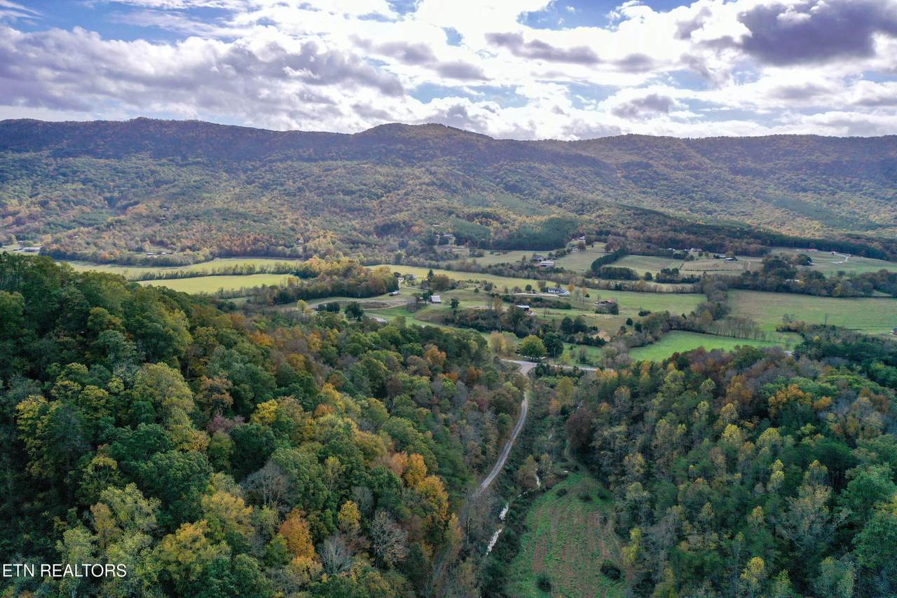 0 Co Rd 484 - Photo 1