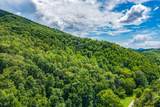  Spruce Pine (330 Acres) Rd - Photo 1