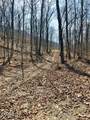  Spruce Pine (330 Acres) Rd - Photo 43