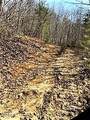  Spruce Pine (330 Acres) Rd - Photo 46
