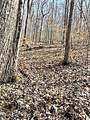  Spruce Pine (330 Acres) Rd - Photo 48