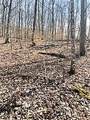  Spruce Pine (330 Acres) Rd - Photo 49