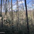 450 Holder Cemetery Rd - Photo 1