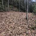 450 Holder Cemetery Rd - Photo 10