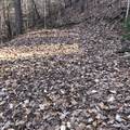 450 Holder Cemetery Rd - Photo 11
