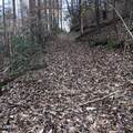 450 Holder Cemetery Rd - Photo 12