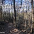 450 Holder Cemetery Rd - Photo 3